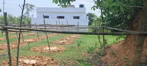 পূর্বাচলে বিক্রয়ের জন্য সর্বনিম্ন বাজেটের ৩ কাঠার প্লট