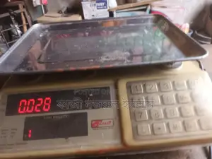 Digital Scale for Sale