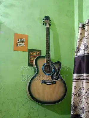 Customized Butterfly Guitar