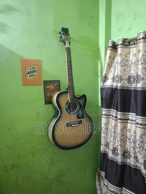 Customized Butterfly Guitar