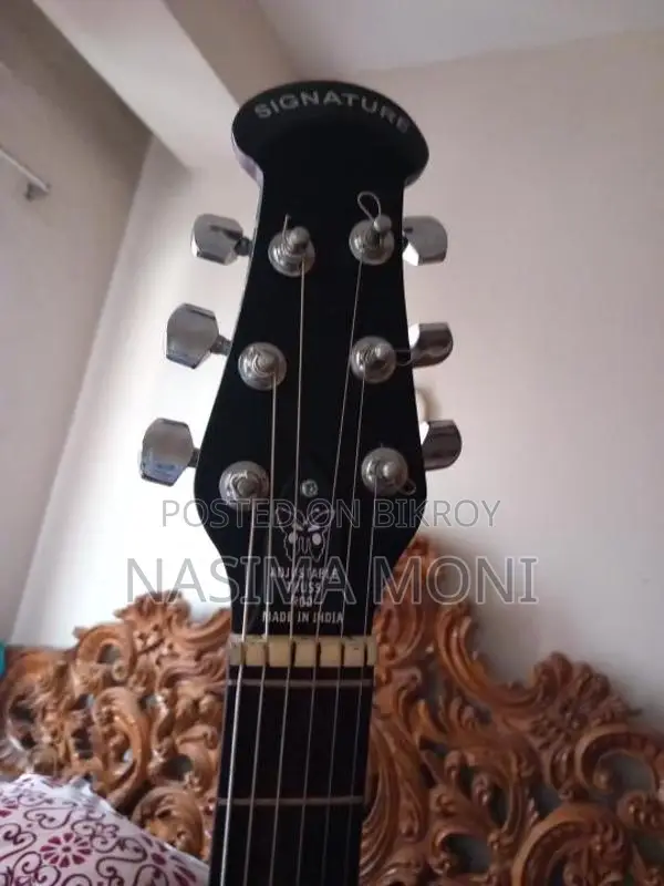 Signature Guiter