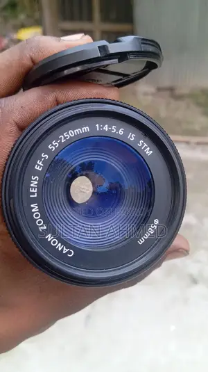 Canon 55-250mm STM Zoom Lens