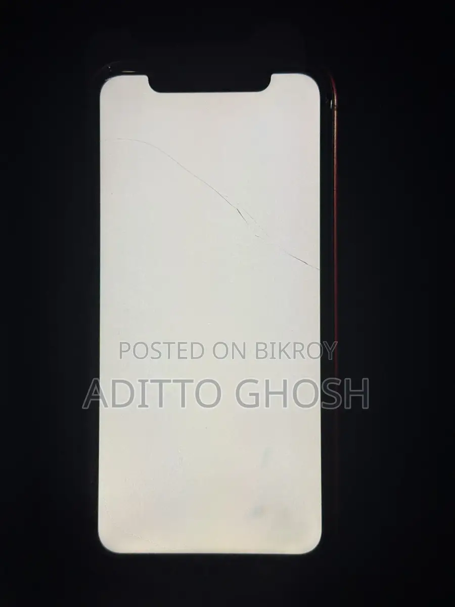 Apple iPhone 11 (Used)