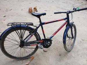 সাইকেল