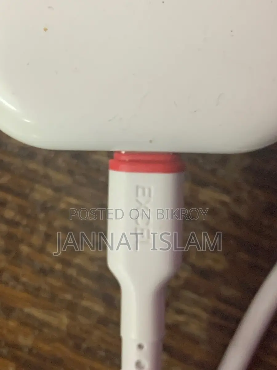 iPhone Charger