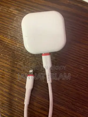 iPhone Charger