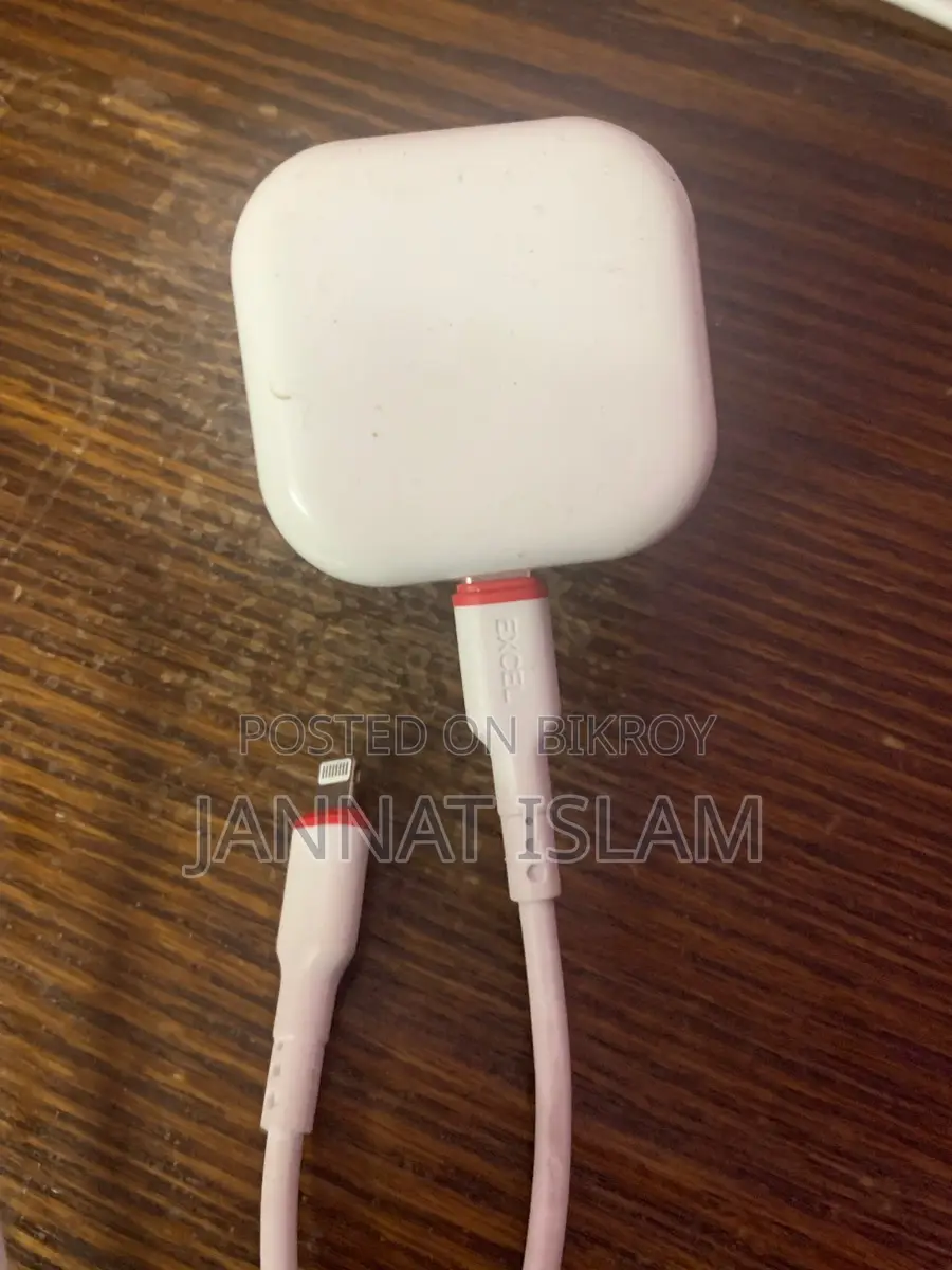 iPhone Charger