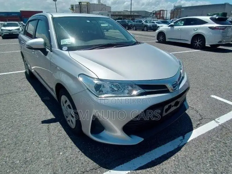 Toyota Axio Ex Silver 4.5 Point 2021