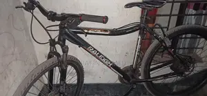 Raleigh Bicycle for Sale