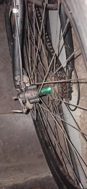 Raleigh Bicycle for Sale