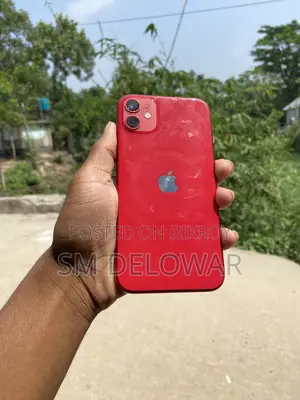 Apple iPhone 11 (Used)