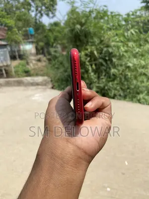 Apple iPhone 11 (Used)