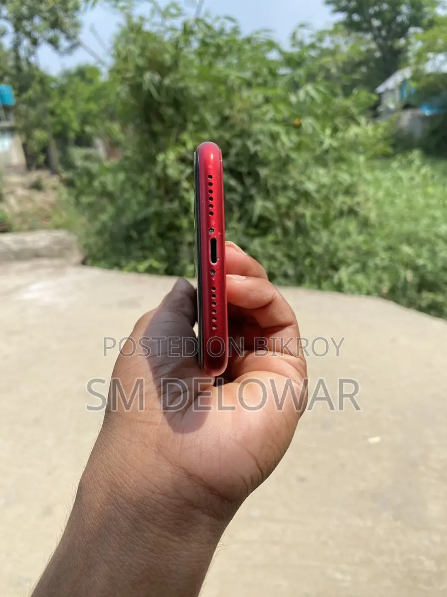 Apple iPhone 11 (Used)