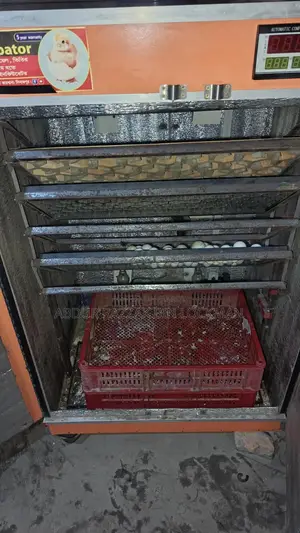 600-Egg Incubator Machine for Sale