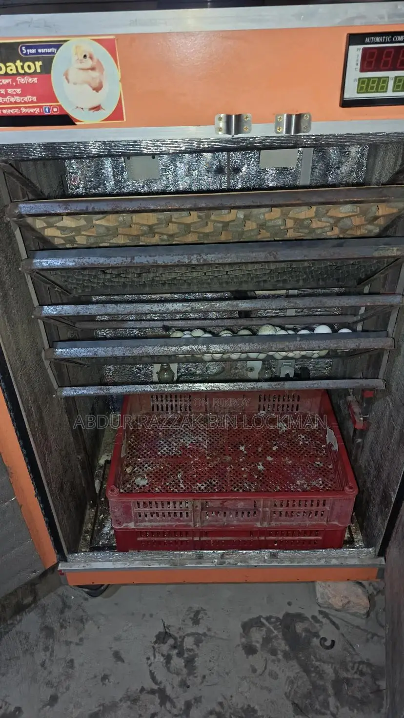 600-Egg Incubator Machine for Sale