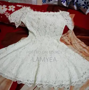 Elegant White Net Lace Dress