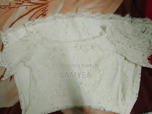 Elegant White Net Lace Dress