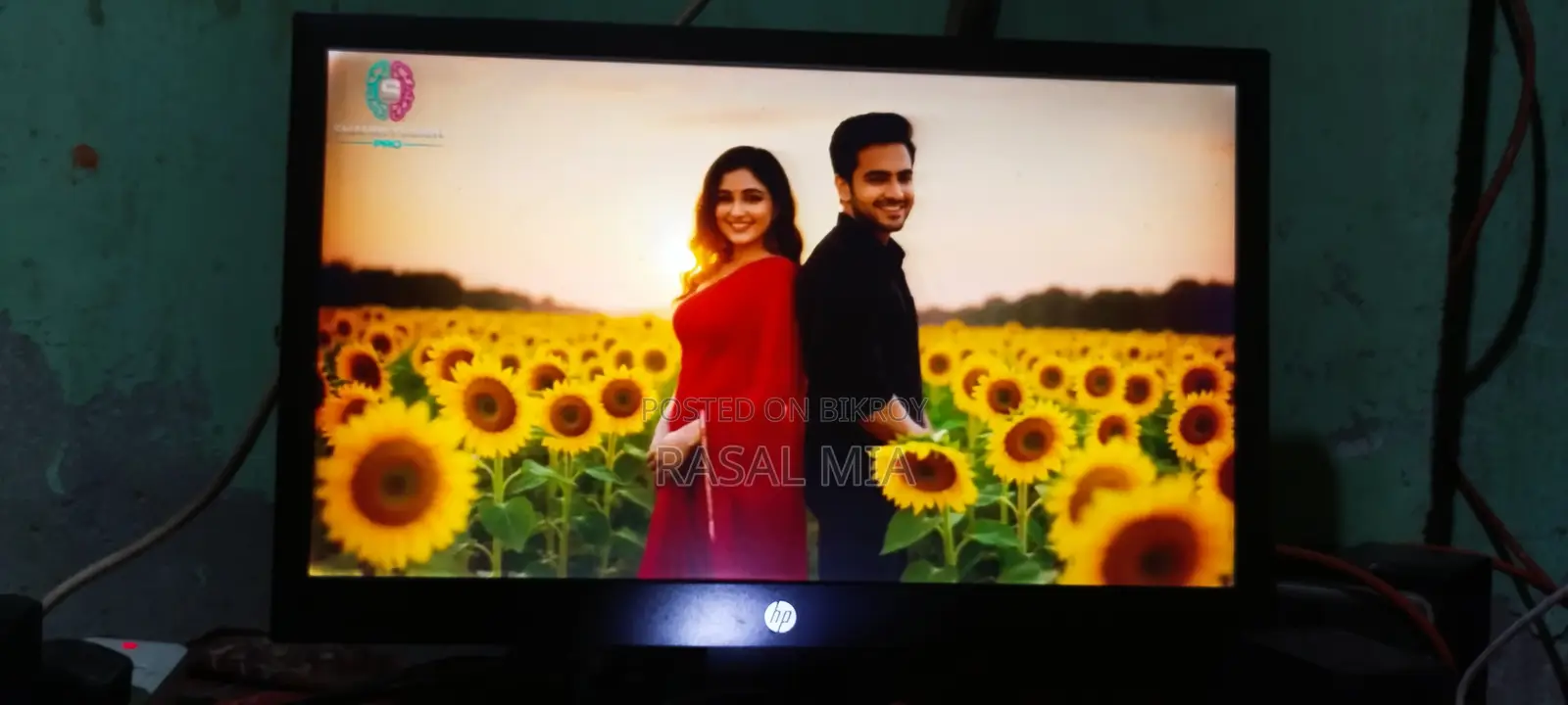 HP 19" Monitor