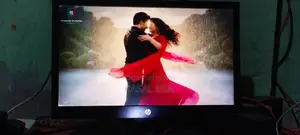 HP 19" Monitor