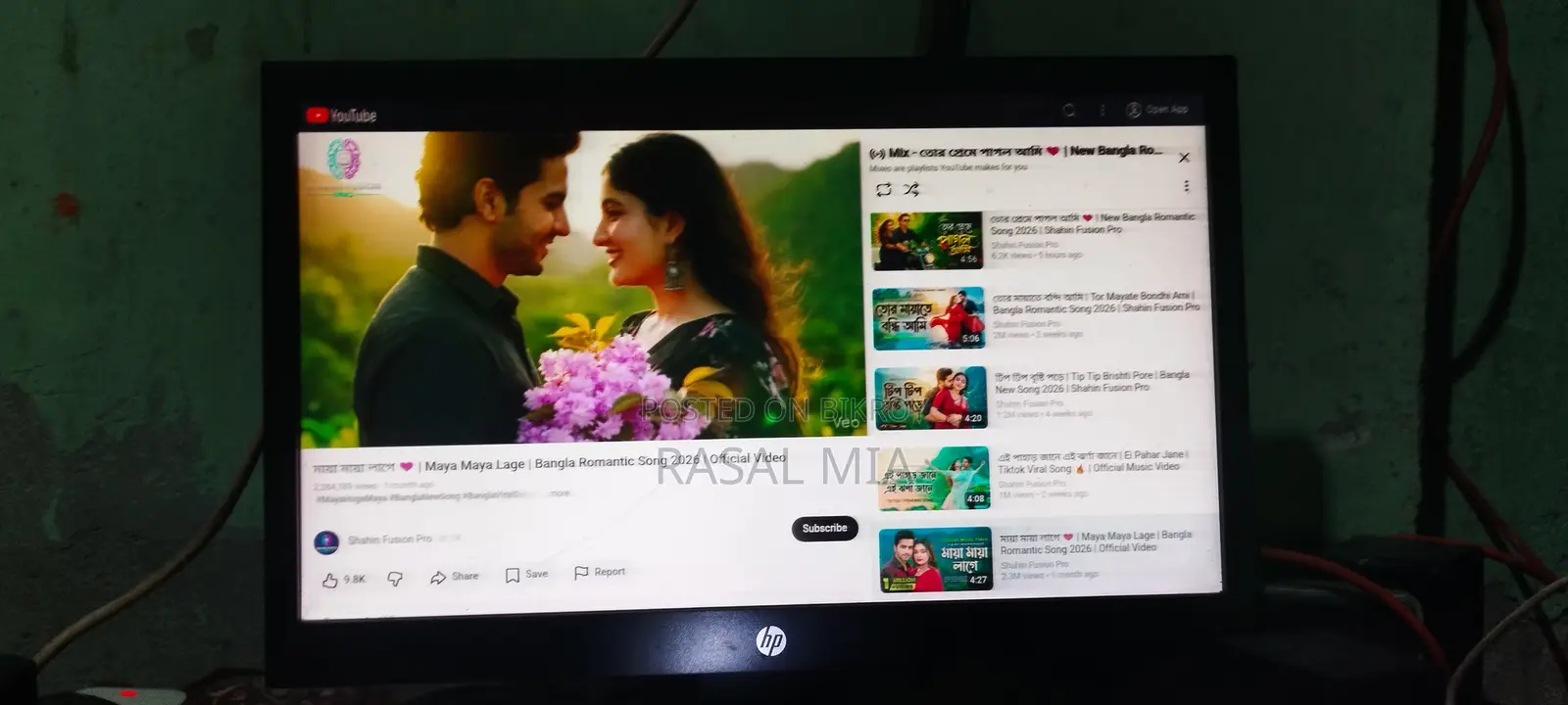 HP 19" Monitor