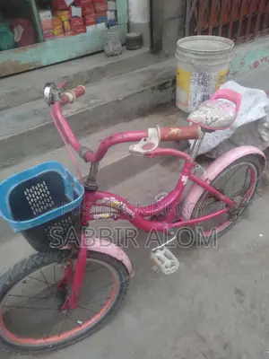 20" Bicycle