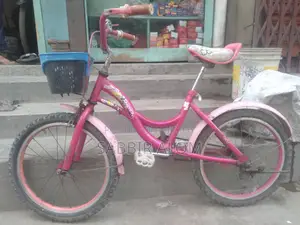 20" Bicycle