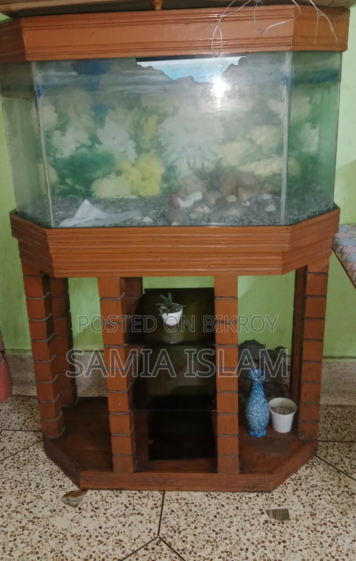 Aquarium For Fishes