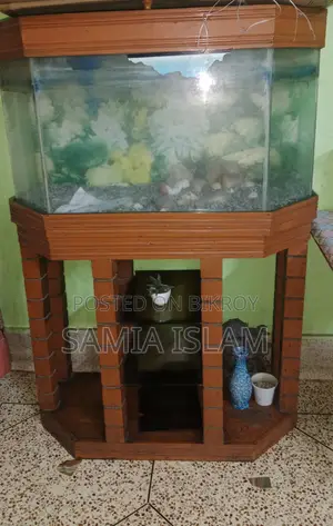 Aquarium For Fishes