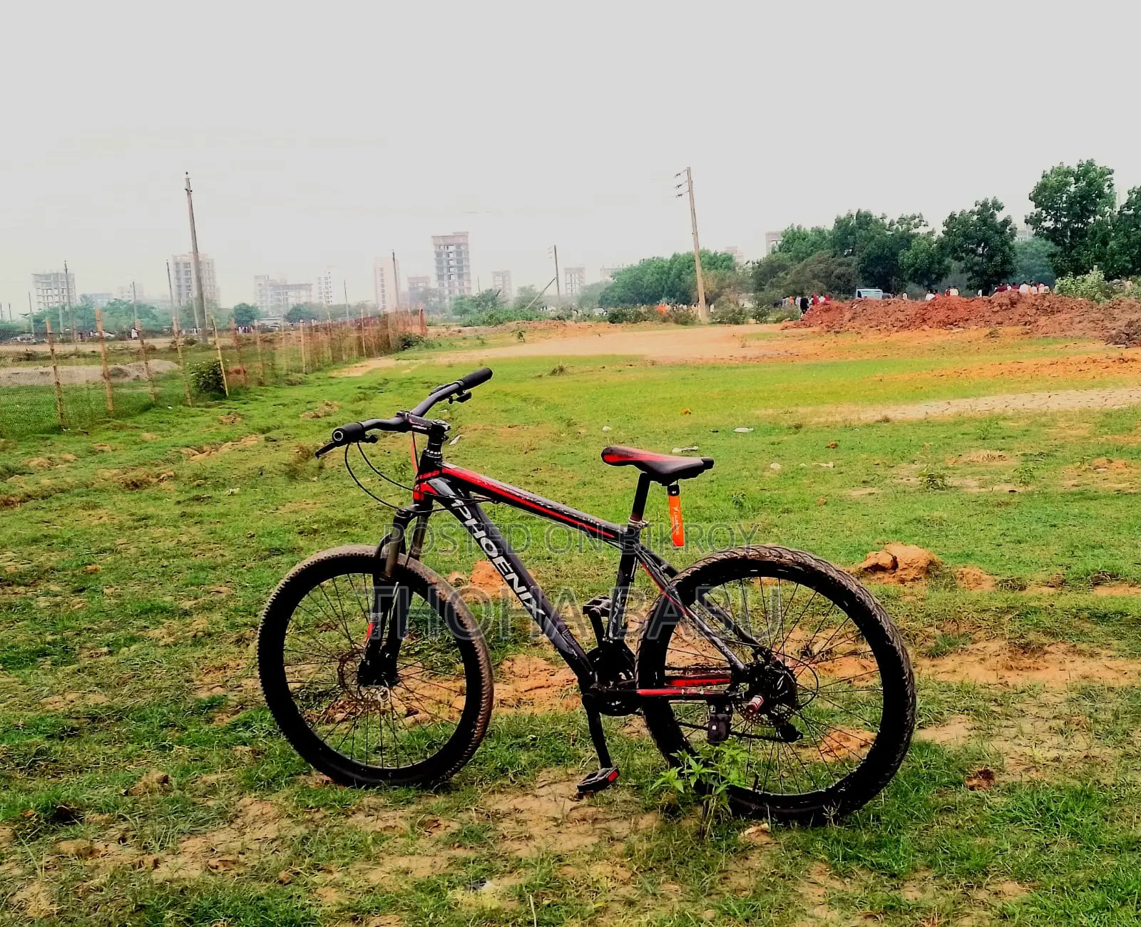 Phoenix Kool Bicycle