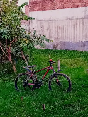 Phoenix Kool Bicycle