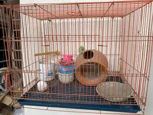 পাখির খাচা ও মাটির হাড়ির সেট