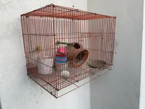 পাখির খাচা ও মাটির হাড়ির সেট