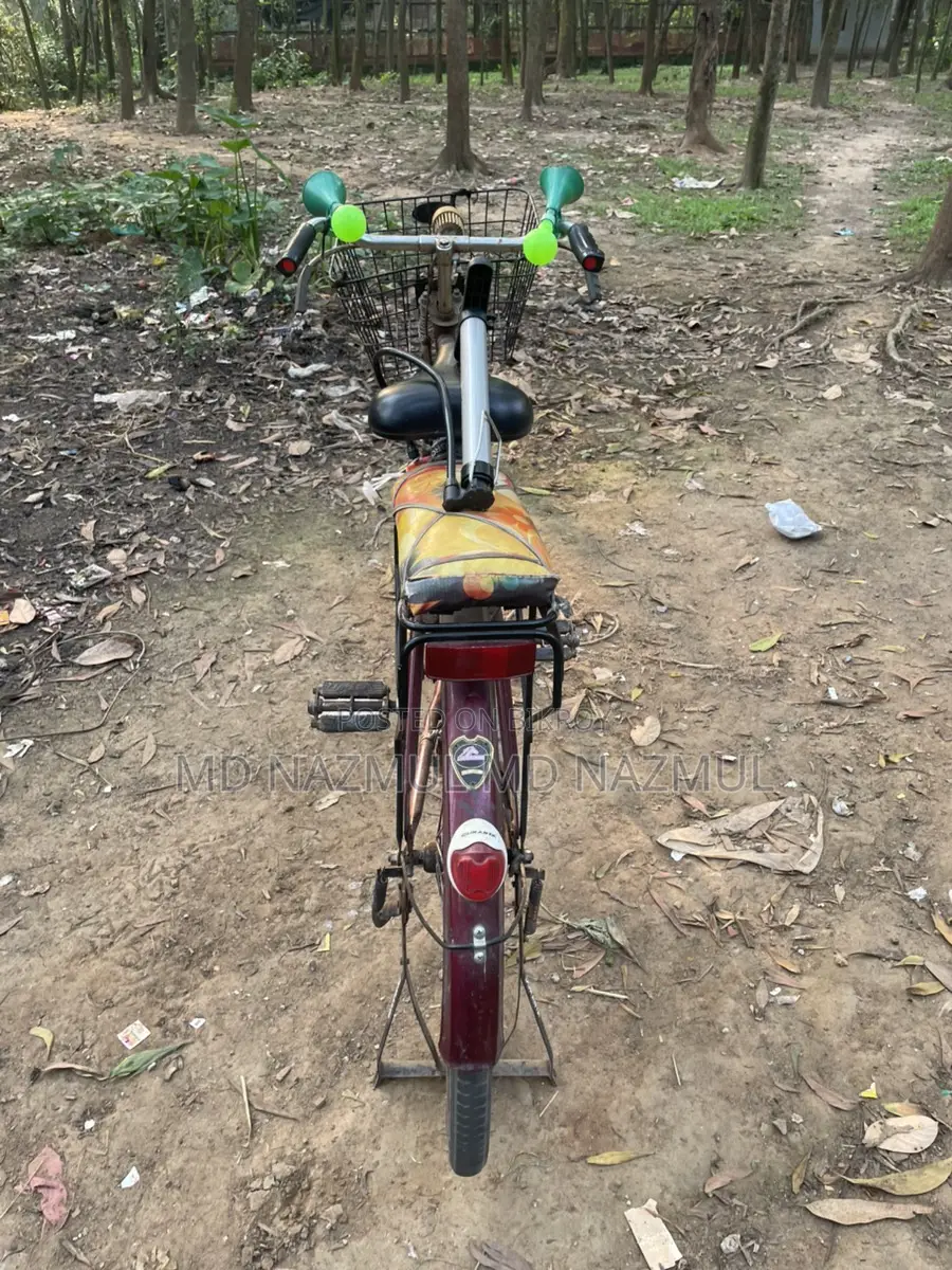 Fresh Bicycle