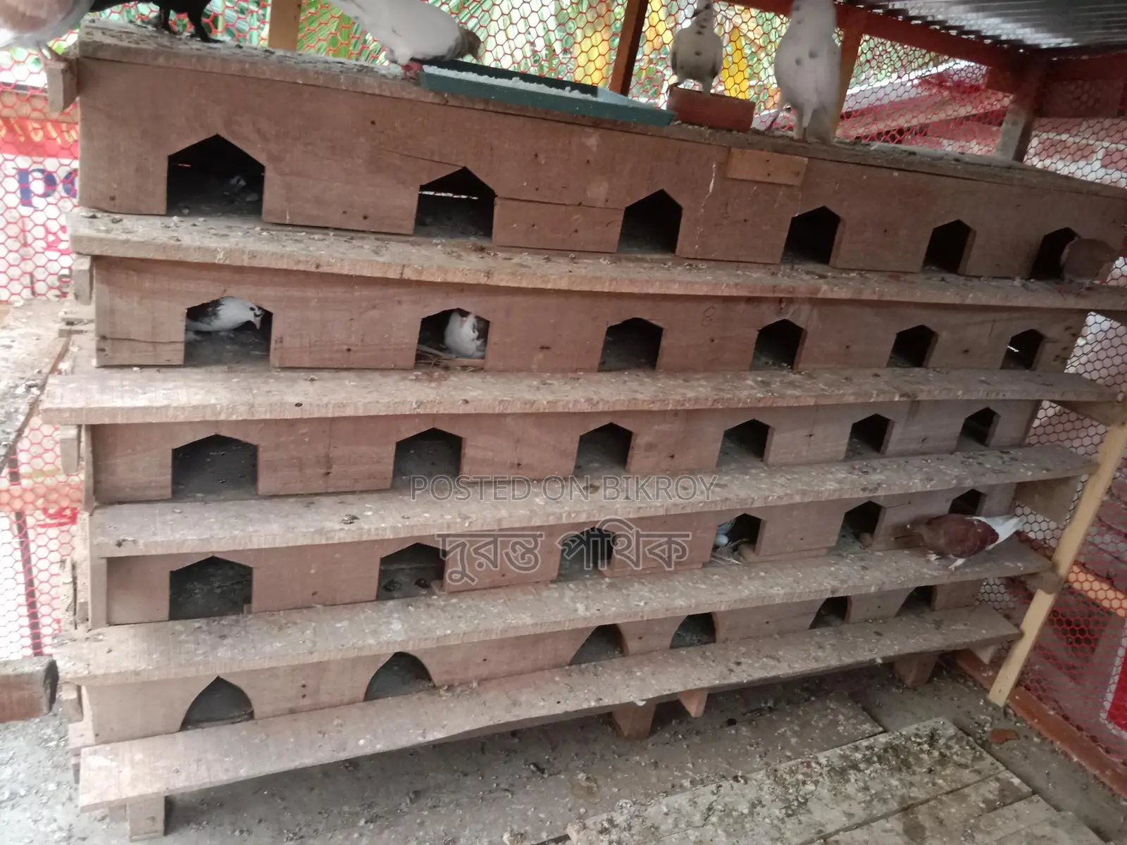 কবুতরের খোপ