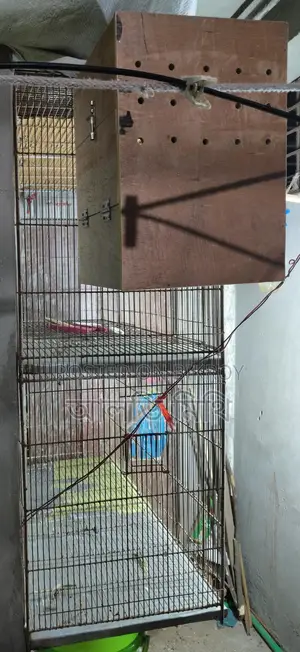 ভালো মানের পাখির খাঁচা