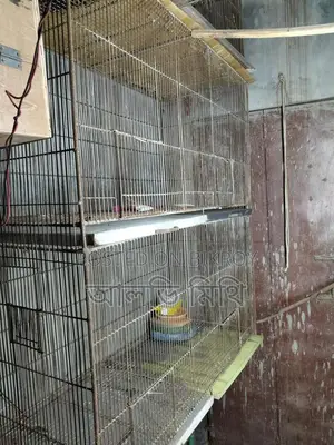 ভালো মানের পাখির খাঁচা