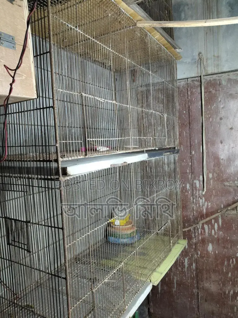 ভালো মানের পাখির খাঁচা
