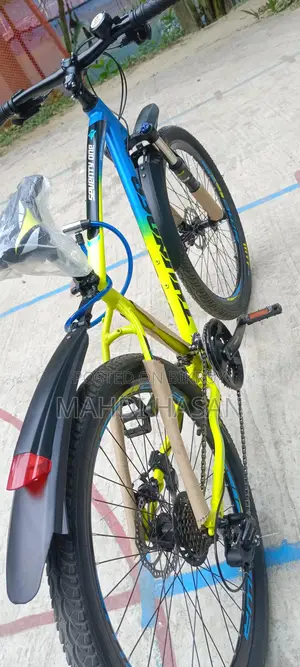 Bicycle for Sale