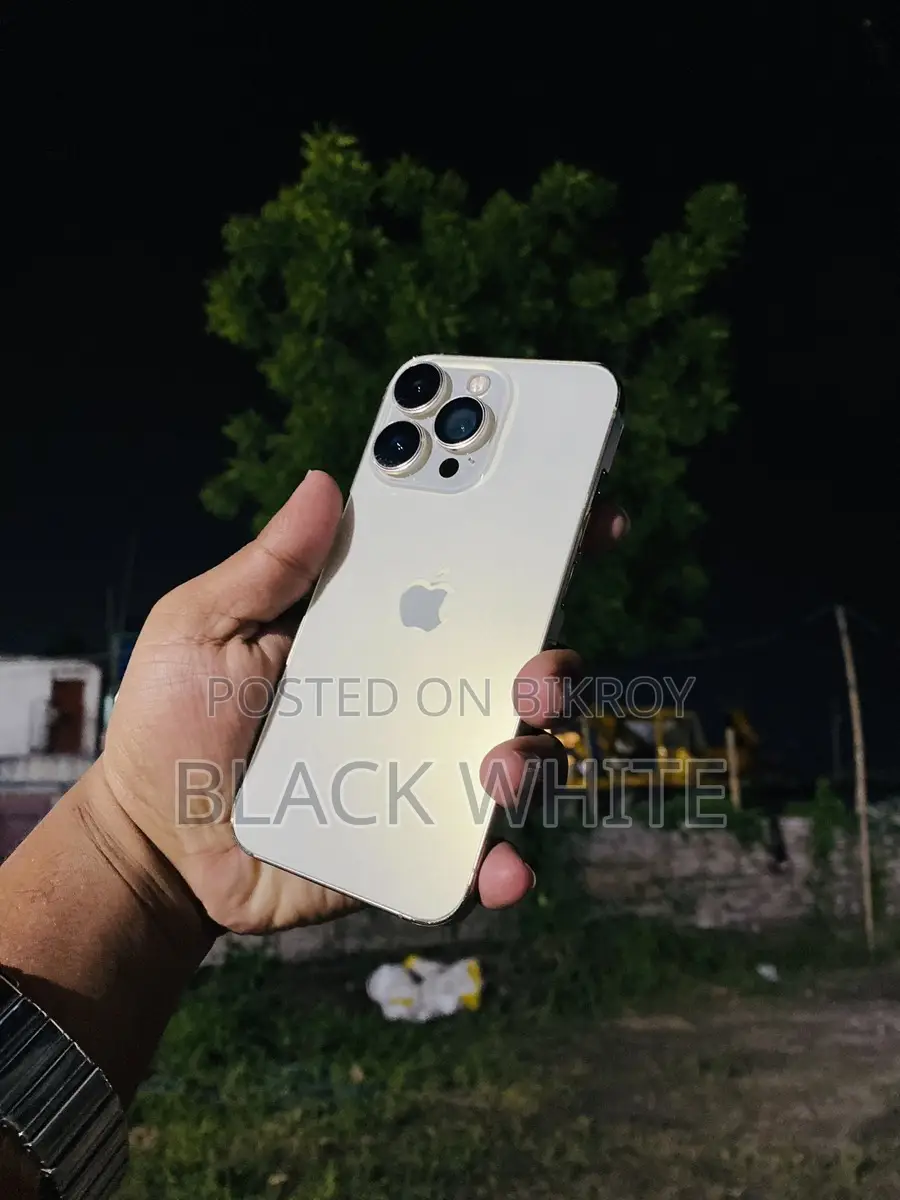 Apple iPhone 13 Pro 256gp use veriant (Used)