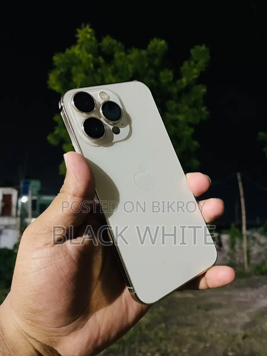 Apple iPhone 13 Pro 256gp use veriant (Used)