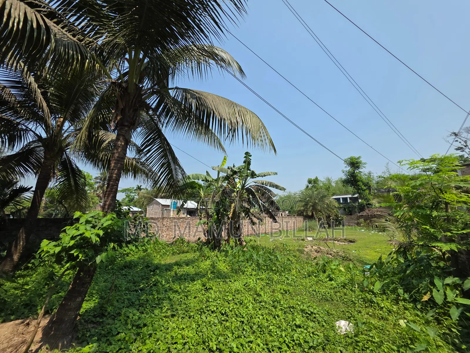 Attractive Land for Sale for Garden House