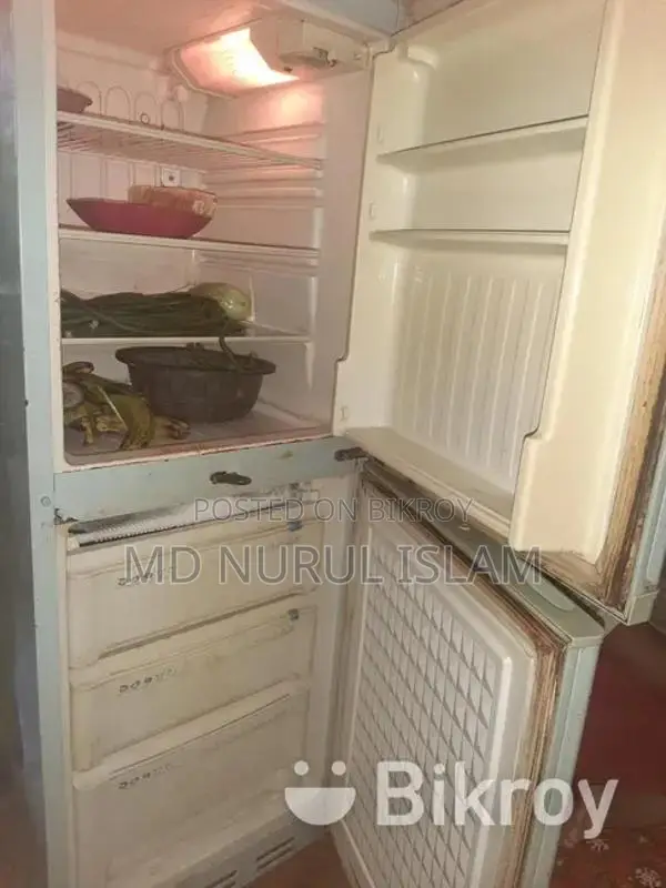Fujian Fridge, Ship Fridge