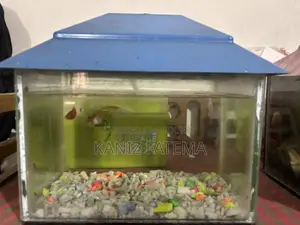 Full aquarium set up with fish (2 units)