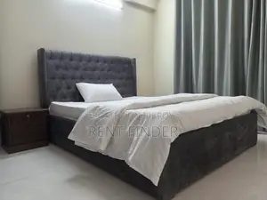 Luxury Full Furnished Apartment