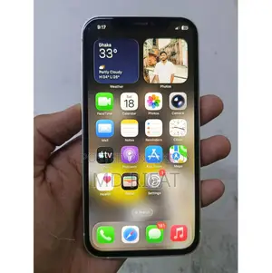 Apple iPhone 12 (Used)
