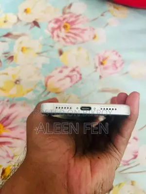 Apple iPhone 17 Pro Max (Used)