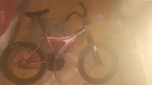 সাইকেল ১৬ ইঞ্চি