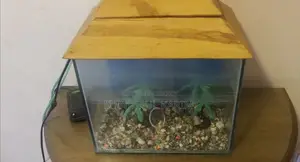 Aquarium for Sale