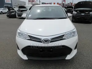 Toyota Axio EX Non Hybrid Push 2020