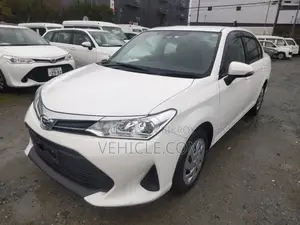 Toyota Axio EX Non Hybrid Push 2020